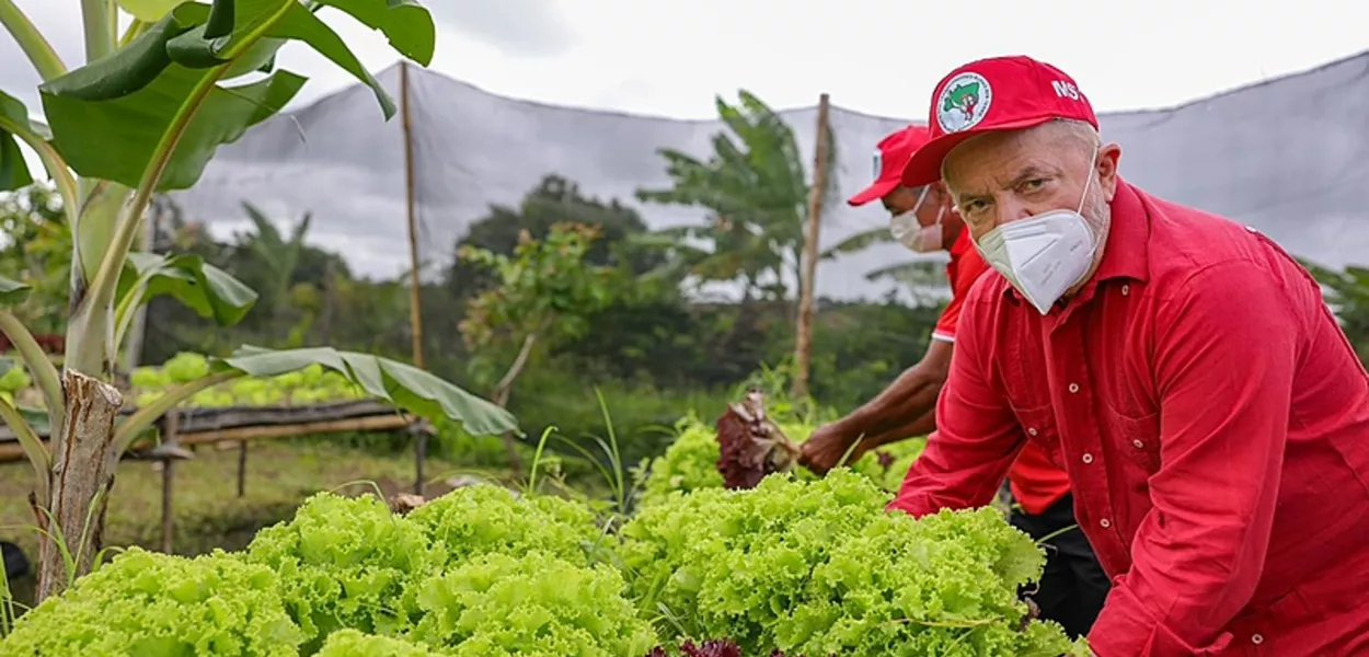 O governo Lula, a produção de alimentos e a segurança alimentar