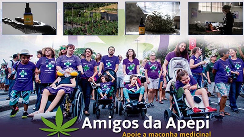 Associação de Apoio à Pesquisa e a Pacientes de Cannabis Medicinal (Apepi)