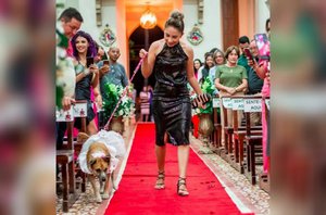 Cachorros entram em casamento levando as alianças(Reprodução/Instagram)