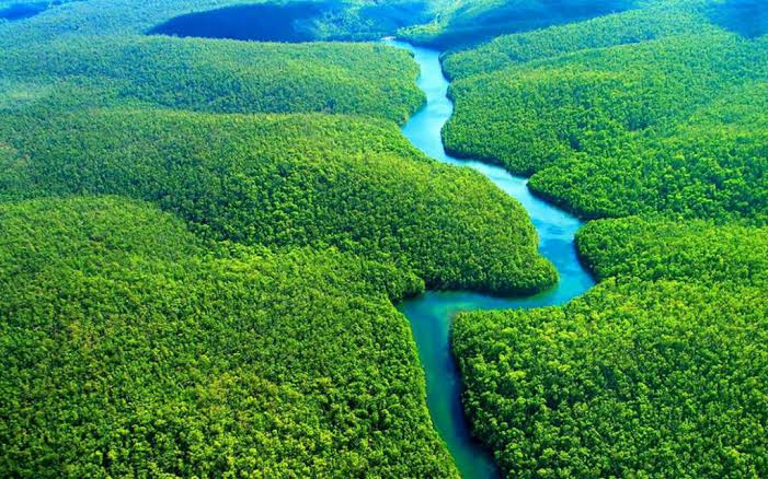 Helicóptero da Funai com 7 pessoas cai na Floresta Amazônica