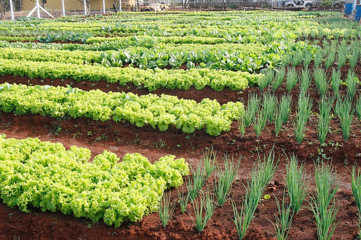Programa Apoio a Pequenos Negócios – Crédito Urbano e Rural
