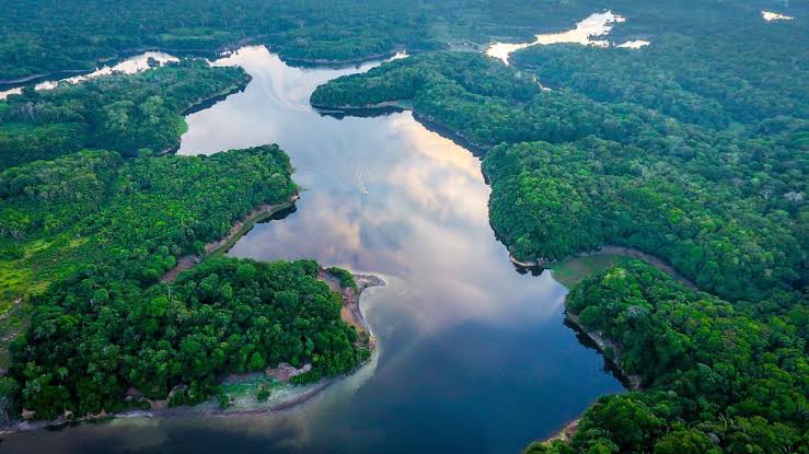 Fronteira da Amazônia é uma peneira, mas foco das Forças Armadas é eleição