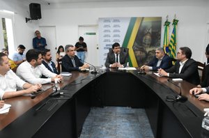 Reunião de alinhamento com os 30 diretores de hospitais estaduais do Piauí(Reprodução/CCOM)