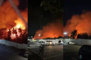 O incêndio começou em uma reserva ambiental(Piauí Hoje)