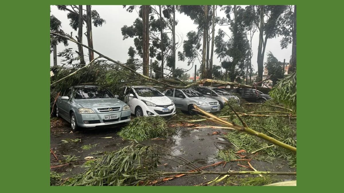 Moradores de SP estão há mais de 20h sem energia. Temporal deixou 6 mortos