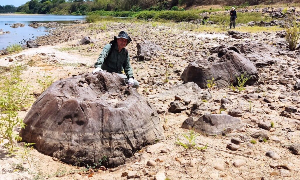 Descoberta revela uma Teresina anterior à era dos dinossauros