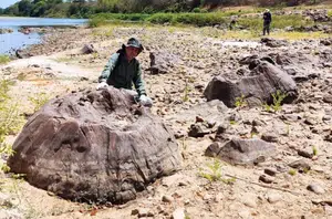 Os fósseis de aproximadamente 280 milhões de anos foram encontrados na região da bacia do rio Poty(Arquivo Pessoal Juan Cisneros)