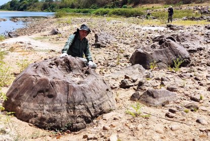 Os fósseis de aproximadamente 280 milhões de anos foram encontrados na região da bacia do rio Poty