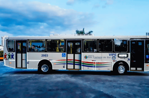 São Caetano do Sul: ônibus municipais serão gratuitos(Divulgação)