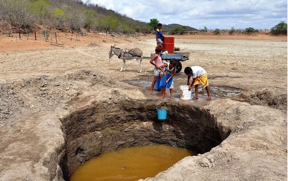 Cientista prevê forte seca no Nordeste em 2024: "risco gigantesco"