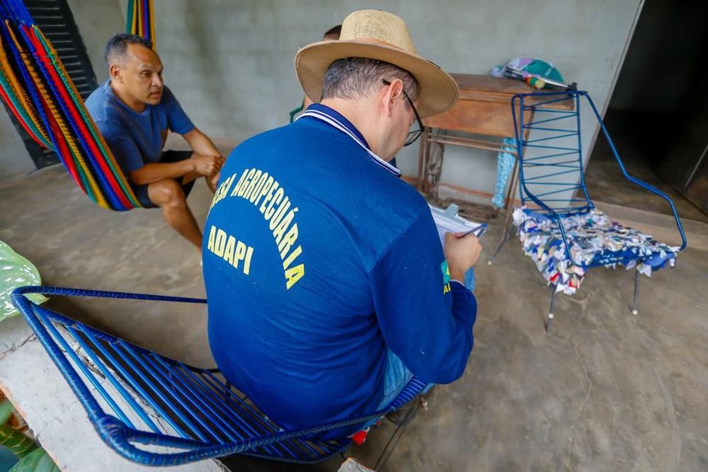 Piauí inicia plano de contingência devido a emergência por peste suína