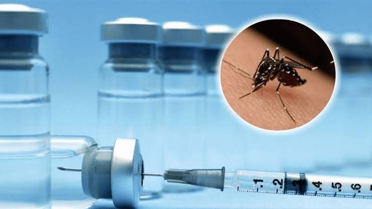 Vacina contra a dengue