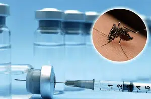 Vacina contra a dengue(Reprodução)
