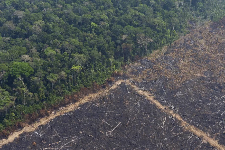Área devastada após incêndio em região de Porto Velho Amazônia