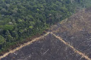 Área devastada após incêndio em região de Porto Velho Amazônia(Victor R. Caivano)