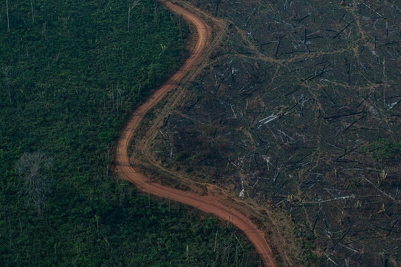 Vista aérea de um desmatamento na Amazônia