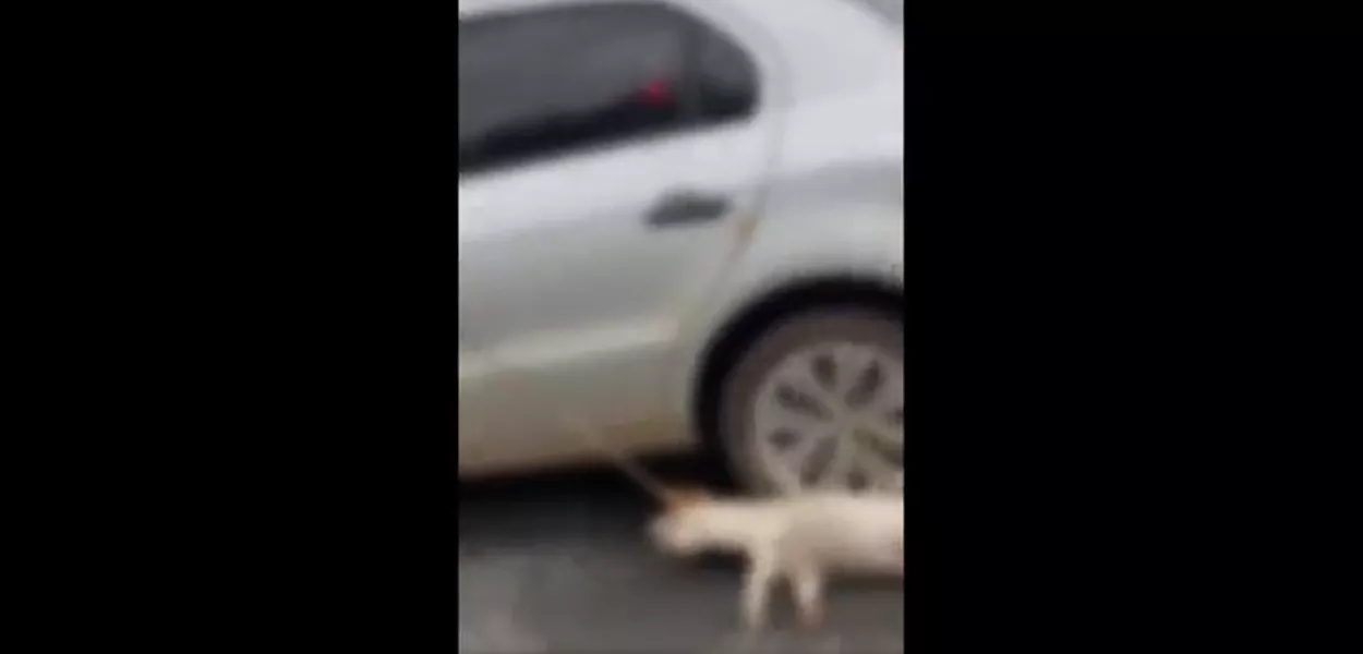 Vídeo: ex-vereador amarra cadela em carro e arrasta por rua de MT