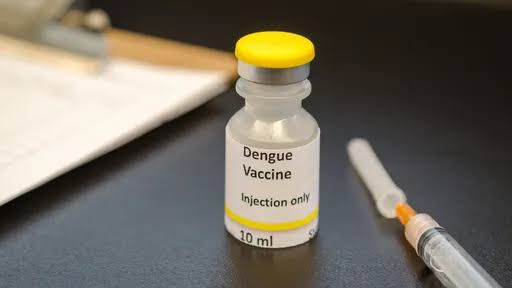 Nova vacina representa uma eficácia maior contra a dengue de mais de 80%