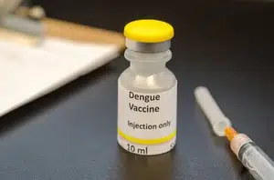 Nova vacina representa uma eficácia maior contra a dengue de mais de 80%(Reprodução)