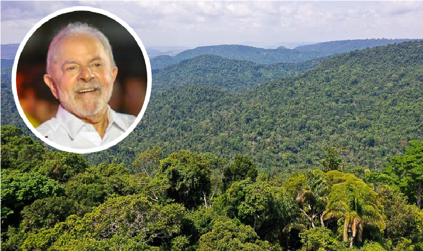 Lula cobra ajuda de países por preservação ambiental