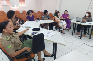 Reunião sobre violência doméstica no Piauí(Reprodução/ccom)