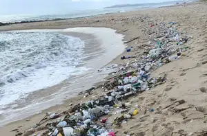 Lixo nas praias(Reprodução/observatório do terceiro setor)