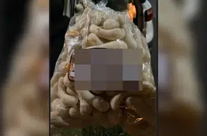 Golpe: homem compra R$ 17 mil de petas com Pix falso(Reprodução)