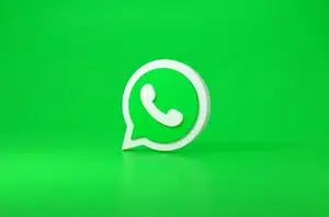 WhatsApp(Reprodução)