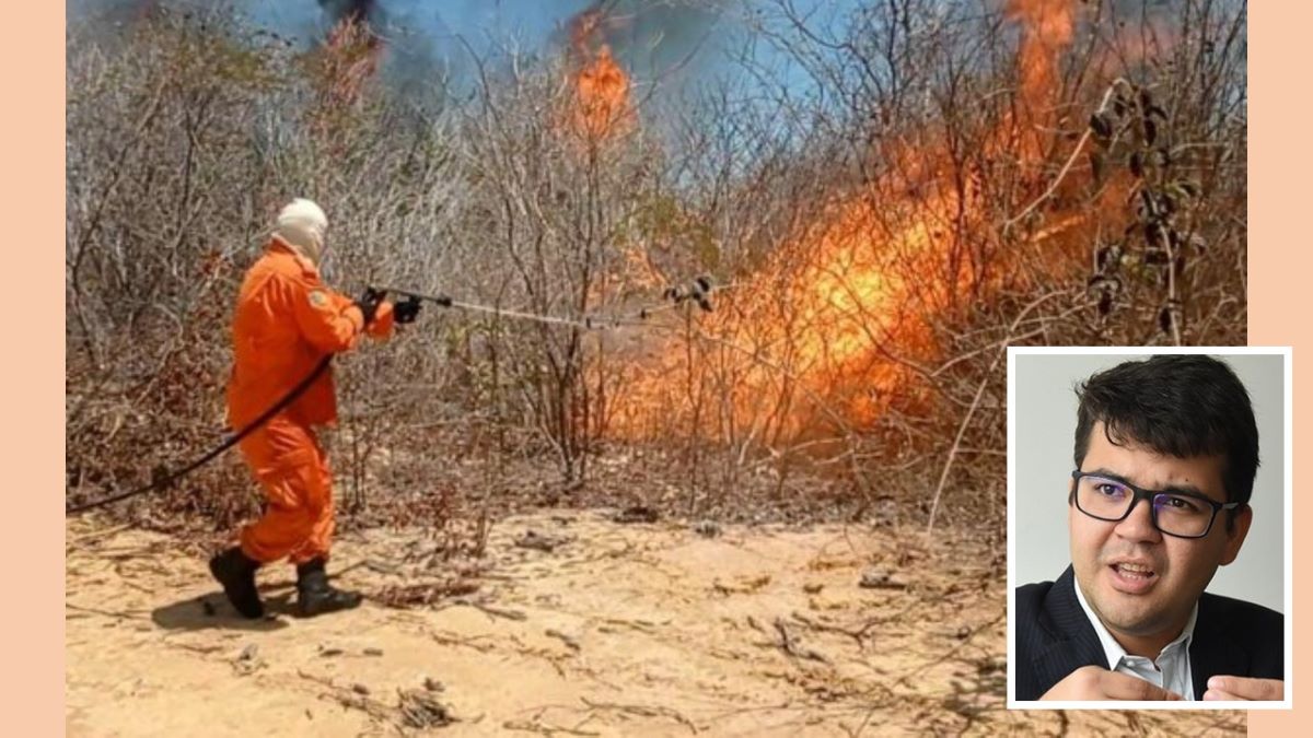 Secretaria vai abrir inquéritos para apurar a causa de incêndios