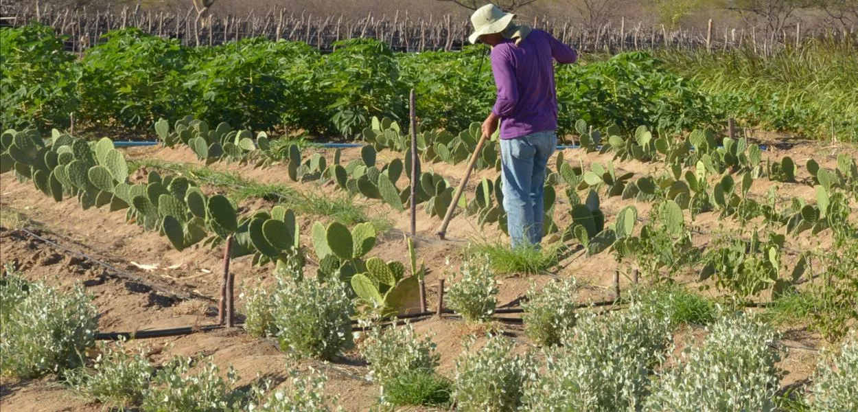 Governo Lula cria regras para viabilizar reforma agrária