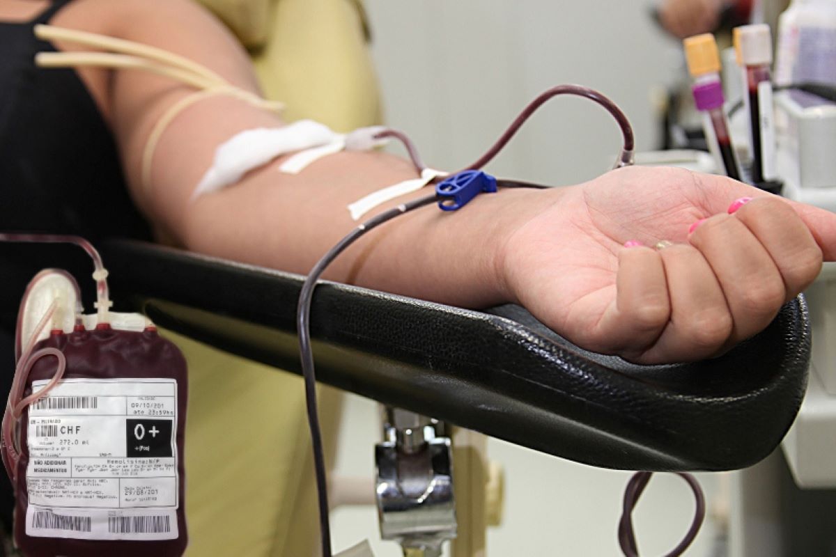'Junho Vermelho' do Hemopi incentiva doação de sangue; veja como ajudar