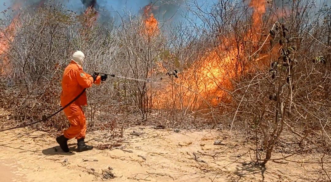 Sada vai atuar junto a agricultores e pecuaristas no combate a incêndios no Piauí
