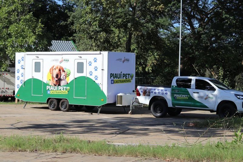 Piauí Pet Castramóvel iniciará atendimentos em Teresina; saiba como participar