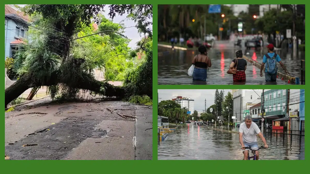 Porto Alegre: conheça e se deslumbre com as belezas da cidade!