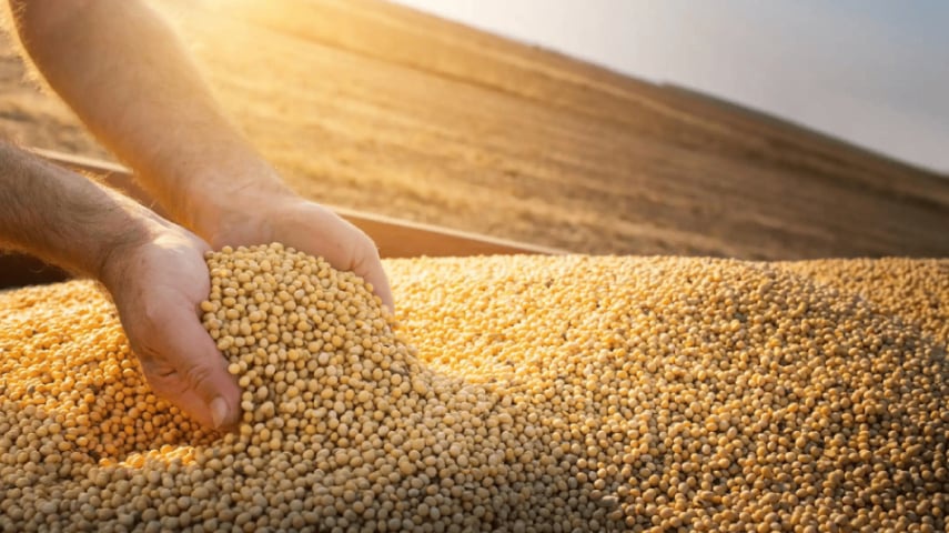 Piauí bateu recorde de exportações na série histórica da produção de grãos
