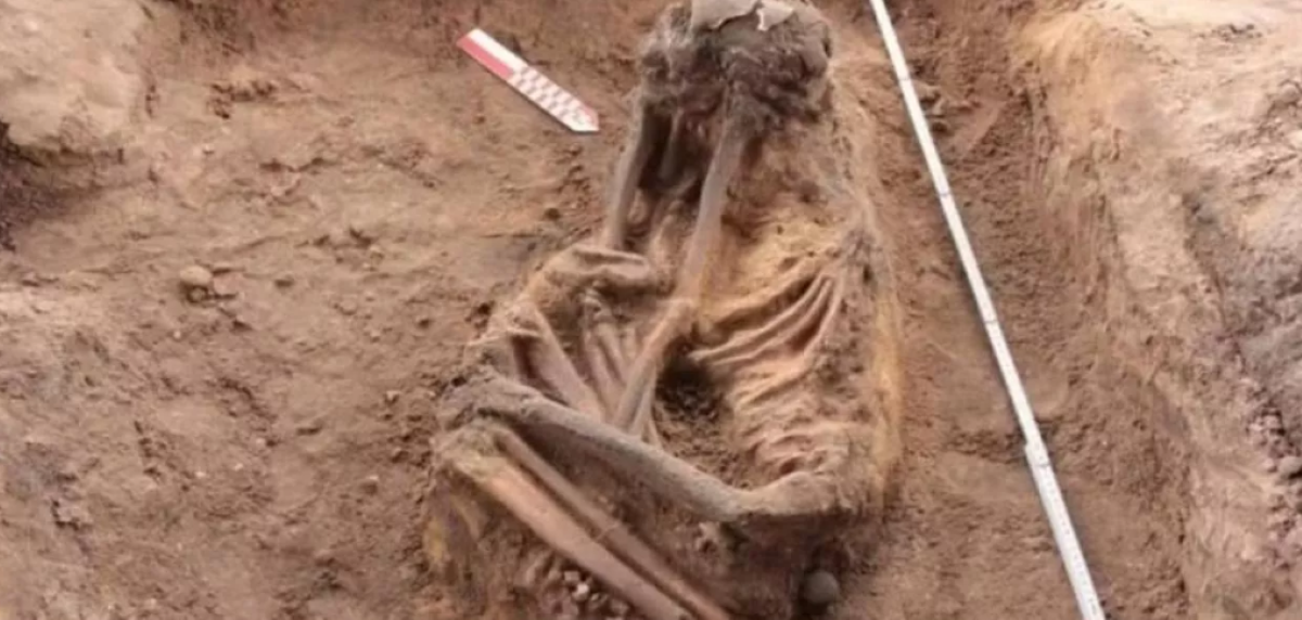 Sítio arqueológico com 100 mil peças é encontrado em obra do Minha Casa Minha Vida no Maranhão