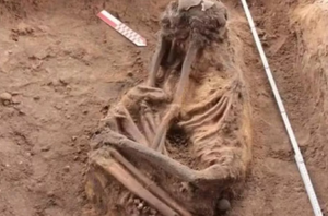 Esqueleto(W Lage Arqueologia))