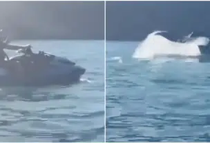 Jair Bolsonaro pilota jetski perto de baleia