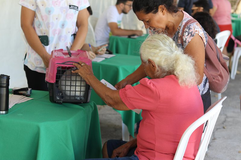 Piauí Pet Castramóvel atende neste domingo (18) em Teresina