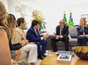 Rafael Fonteles recebe embaixador da Áustria e apresenta potencialidades em energia limpa e turismo