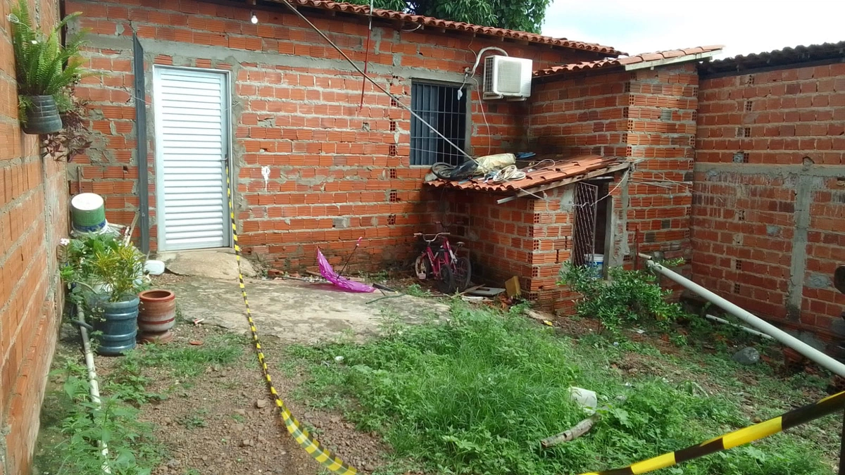 Ataque de pitbull ocorreu dentro de residência na zona Leste de Teresina
