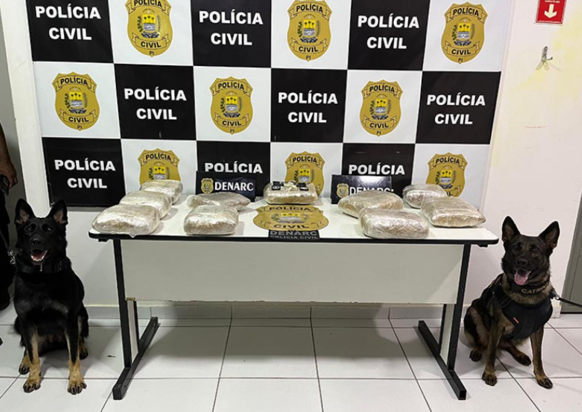 Polícia Civil apreende 10kg de skank em ônibus de viagem