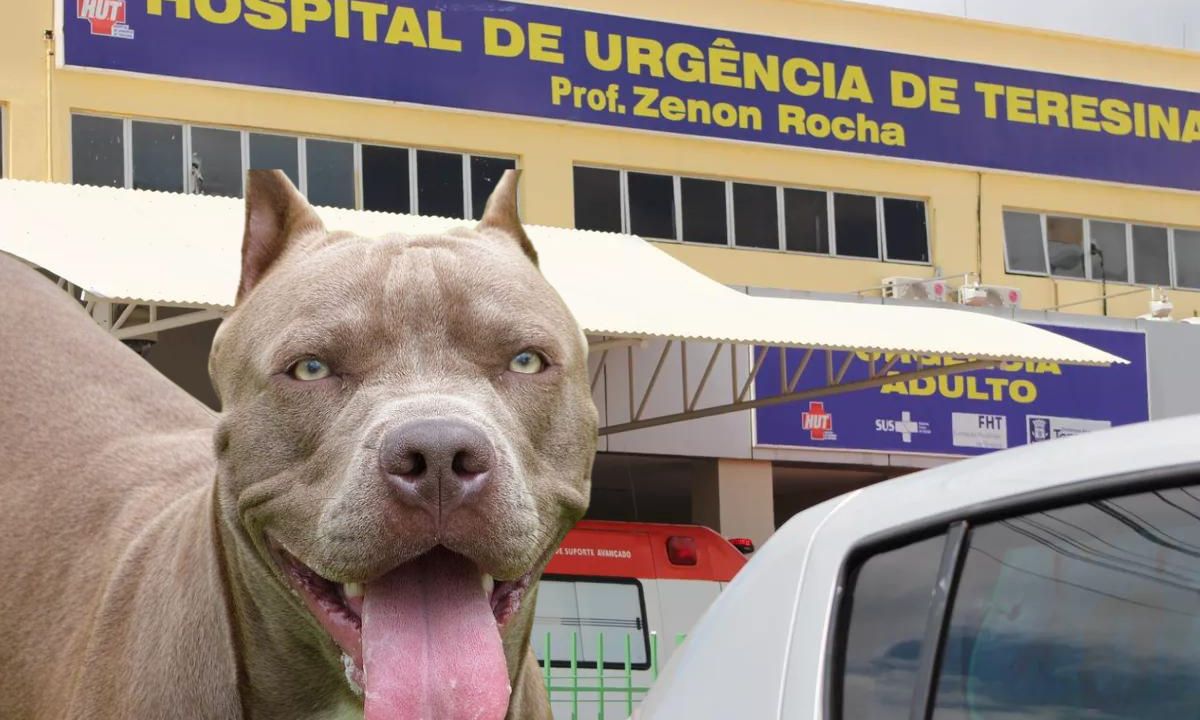 Enquando dormia, criança é atacada por pitbull na zona leste de Teresina