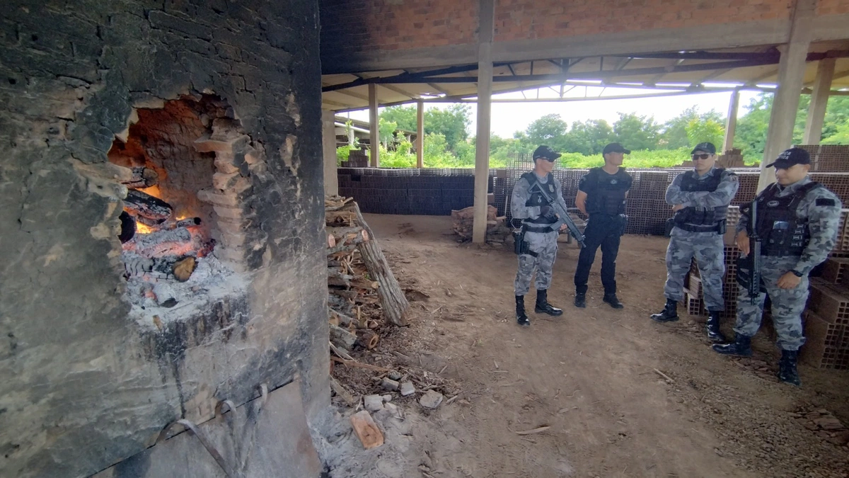 Drogas apreendidas na região litorânea do Piauí são incineradas