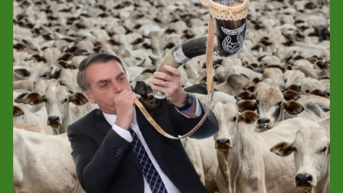 Aditivado por Musk, Bolsonaro reúne seu gado em Copacabana hoje
