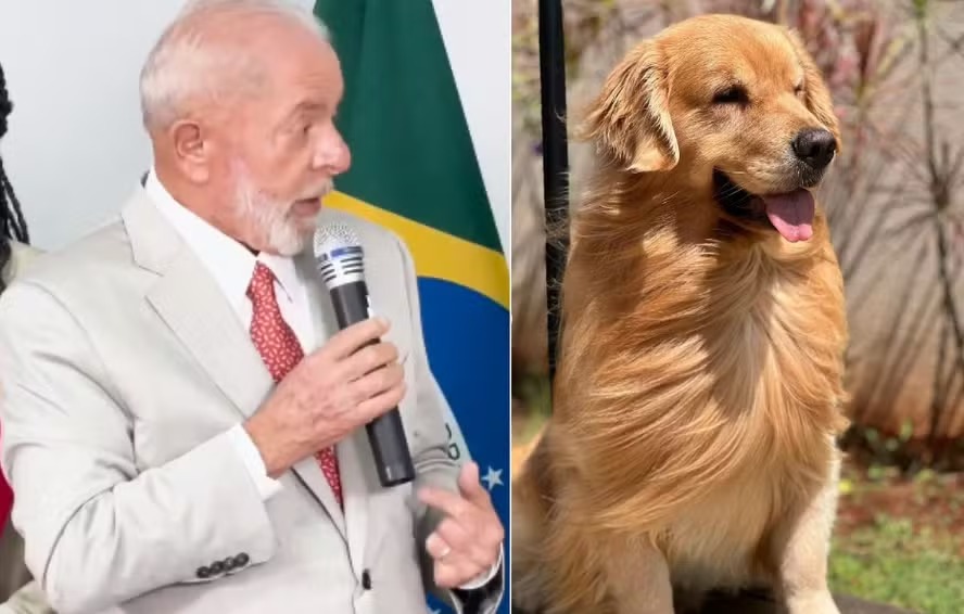 Lula em defesa do cachorro Joca