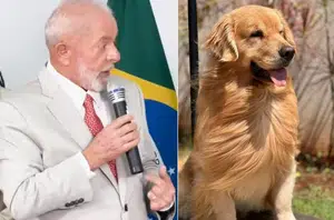 Lula em defesa do cachorro Joca(Reprodução)