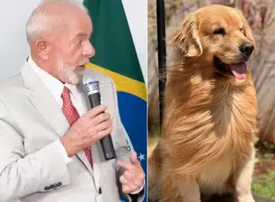 Lula em defesa do cachorro Joca
