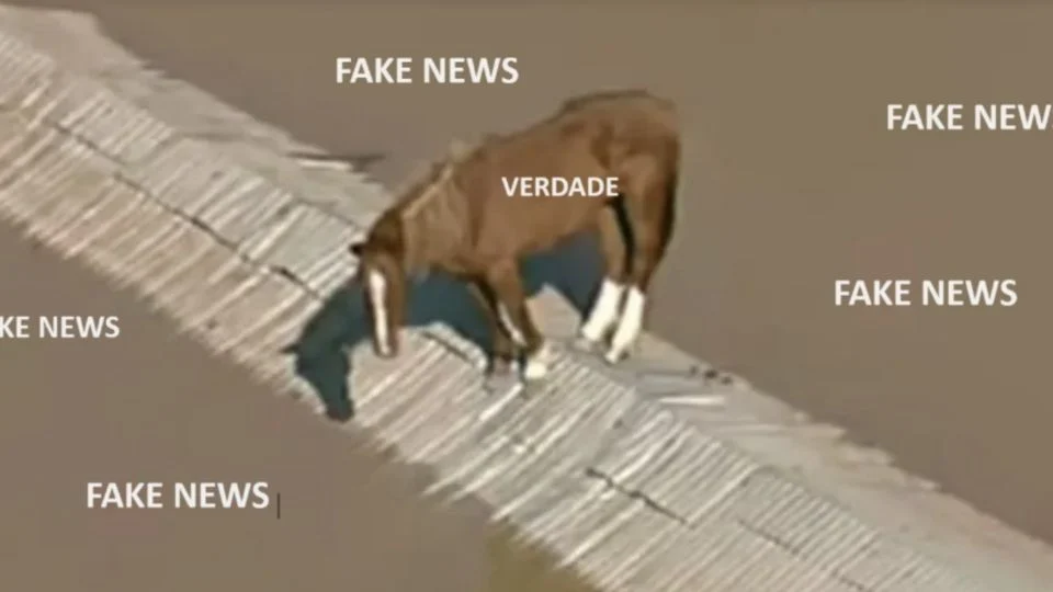 O que está por trás da onda de fake news sobre o RS