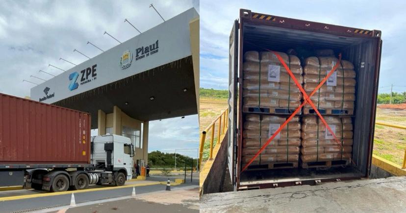 Piauí exporta 24 toneladas de cera de carnaúba para Holanda